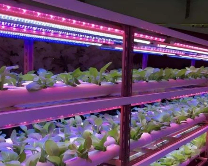 Vertical Farming 3 Vertical Farming 3