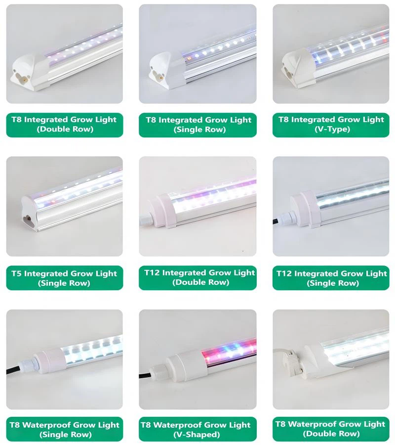 plant grow lights plant grow lights