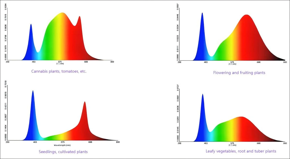 full spectrum.jpg