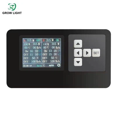 Koji su neki odvažni dodaci za rock and roll izgled?